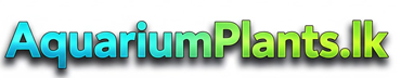 Aquarium Plants